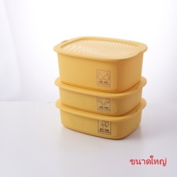 Jumper Kids กล่องเก็บชุดชั้นในพลาสติก กล่องชุดชั้นในกางเกงใน กล่องเก็บถุงเท้า กล่องจัดชุดชั้นใน (มี 3 ชิ้น)